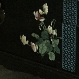 Meet your Posher, Reegan